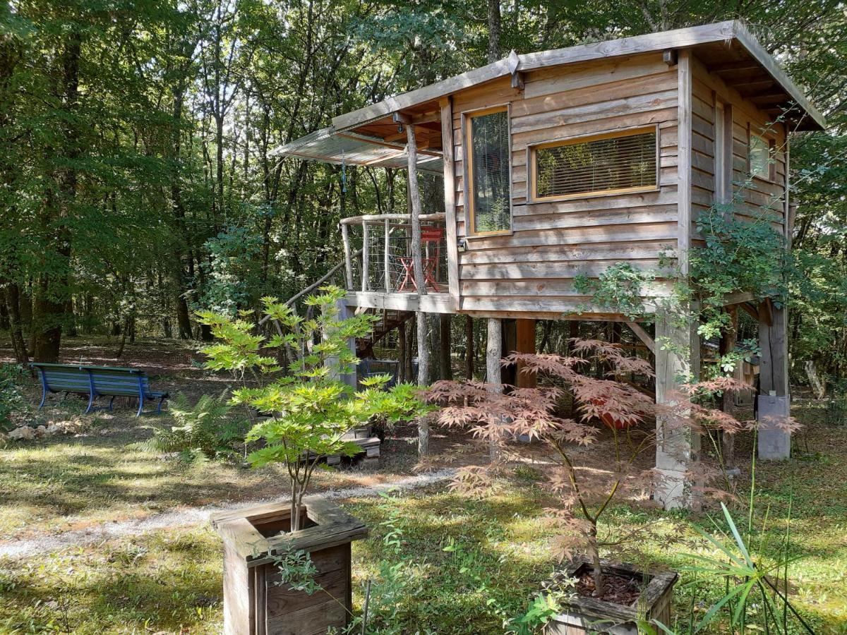 La Cabane De L'Oiseau Couze-et-Saint-Front Bagian luar foto