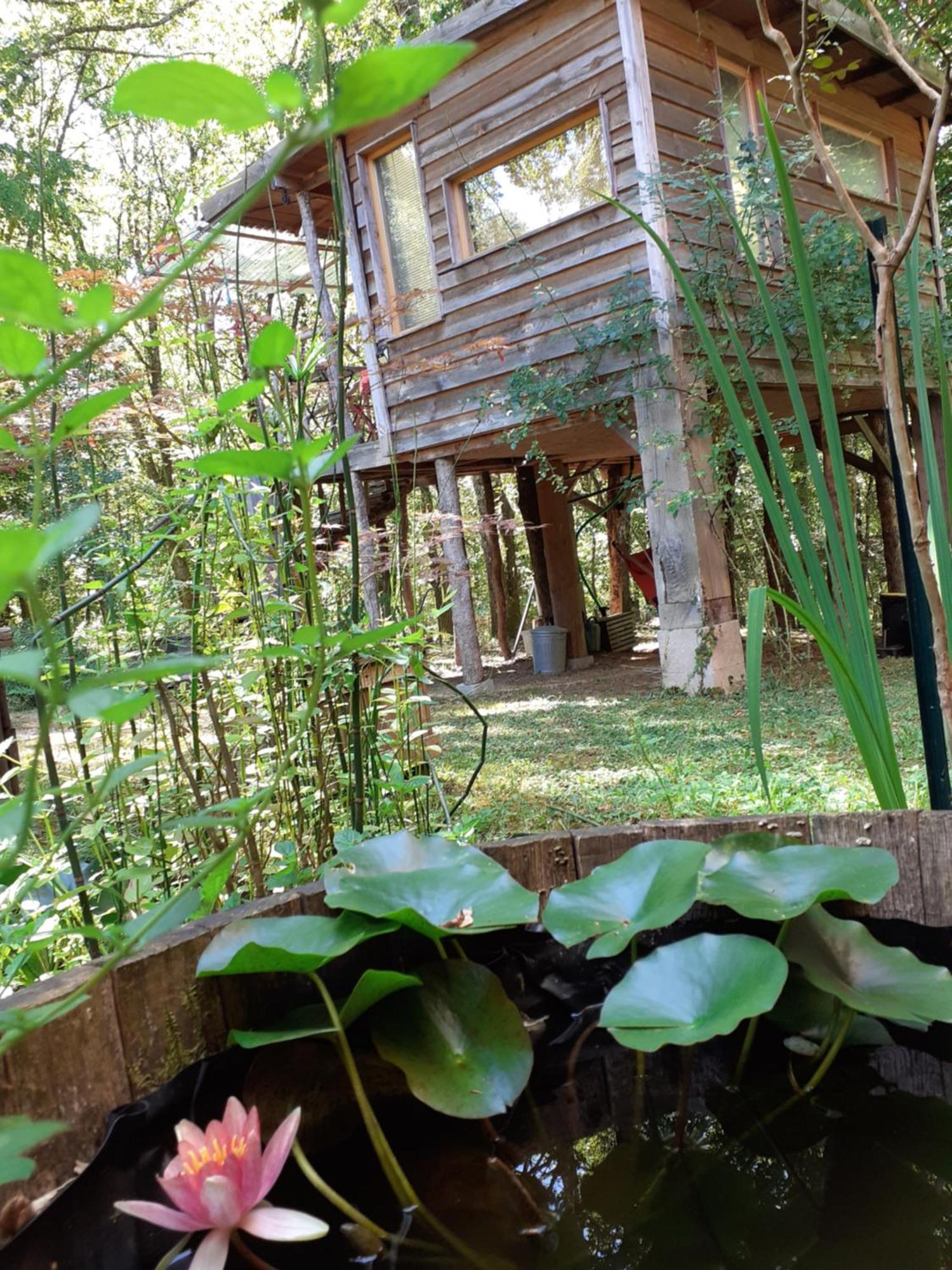 La Cabane De L'Oiseau Couze-et-Saint-Front Bagian luar foto